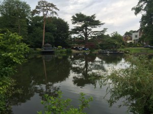 2016-06-26-17.57.54-2