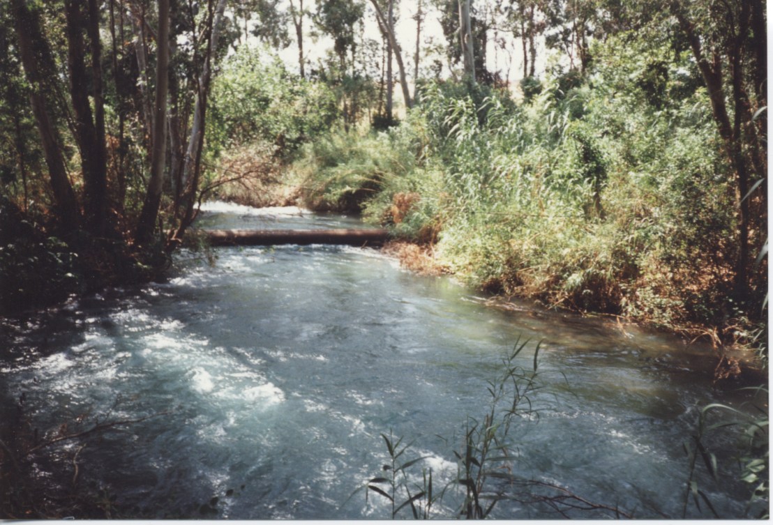 Kibbutz Dan - Northern Israel